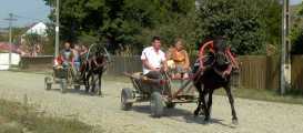 Bild1